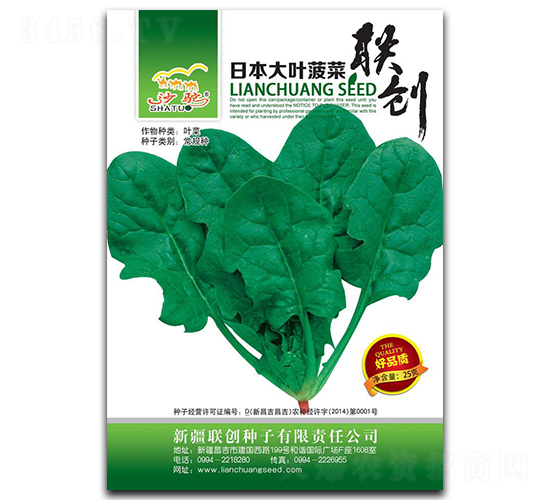 日本大葉菠菜-菠菜種子-聯(lián)創(chuàng)