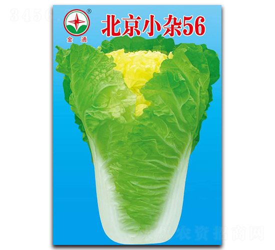 ����С�s56-�ײ˷N��-����