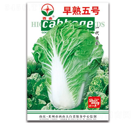 ����5̖-�ײ˷N��-����