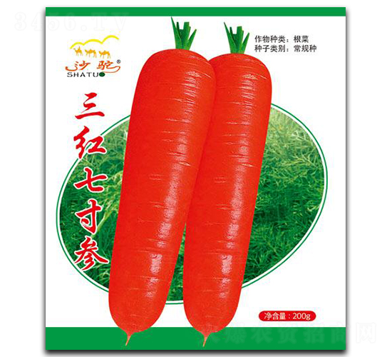 ���t�ߴ煢-�}���N��-(li��n)��(chu��ng)