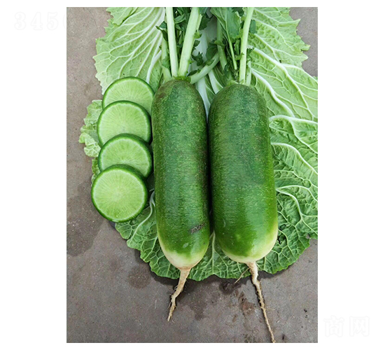 ����Ƥ�}��-�}���N��-��(chu��ng)