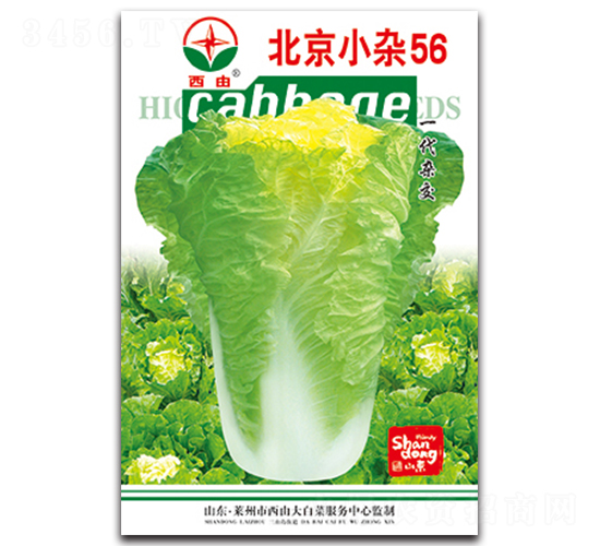 С�s56-�ײ˷N��-����