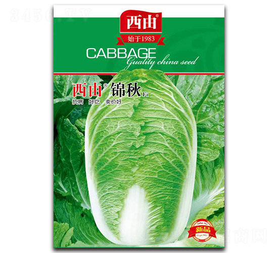 �����\��-�ײ˷N��-����