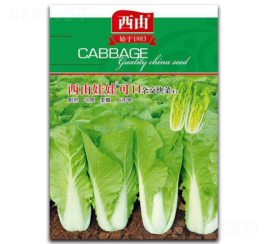 西由娃娃可口-白菜種子-西由
