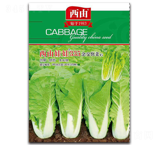 西由娃娃335-白菜種子-西由