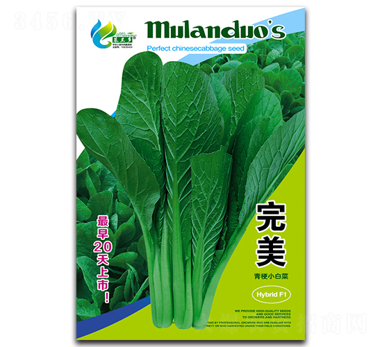 ����-�๣С�ײ˷N��-Ľ�m��