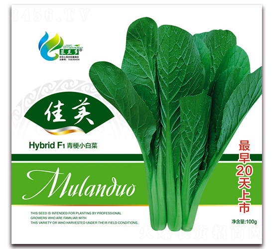 佳美-青梗小白菜種子-慕蘭多
