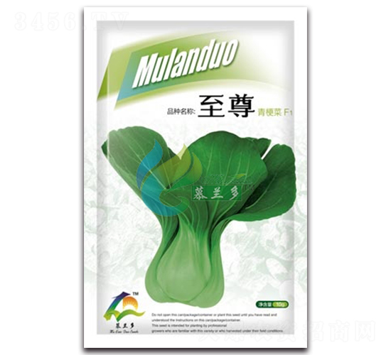至尊-青梗小油菜種子-慕蘭多