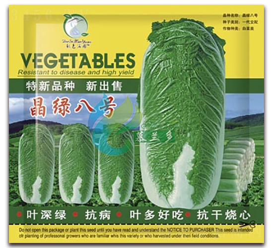 晶綠八號-白菜種子-慕蘭多
