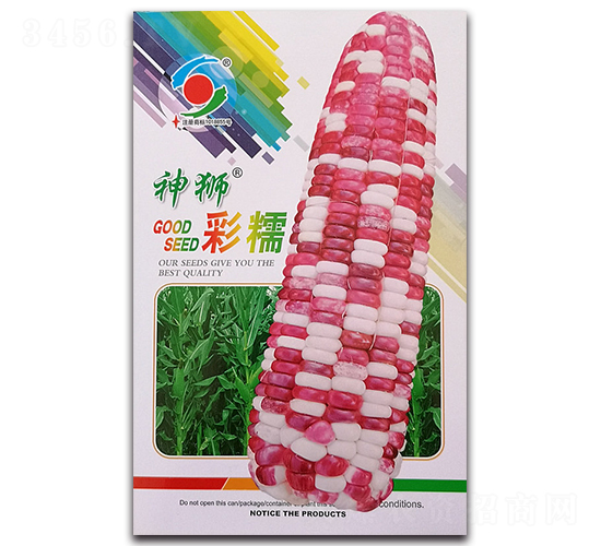 神獅彩糯-糯玉米種子-新世紀(jì)