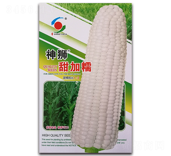 ��{���Ŵ-Ŵ���׷N��-�����o