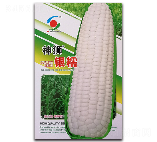 ��{�yŴ-Ŵ���׷N��-�����o(j��)