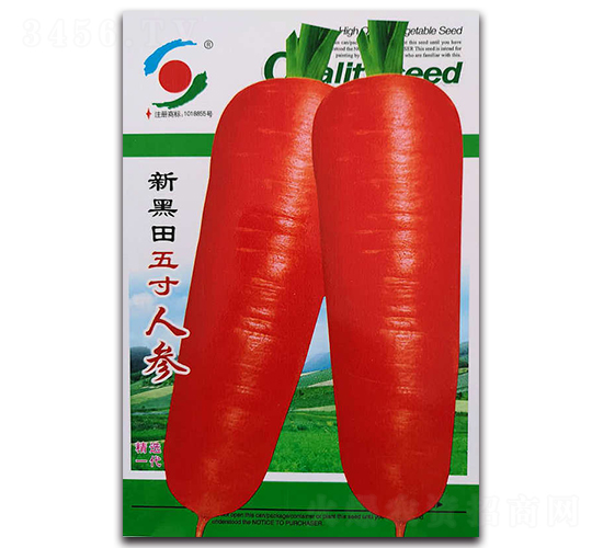 �º�������˅�-ˮ���}���N��-�����o