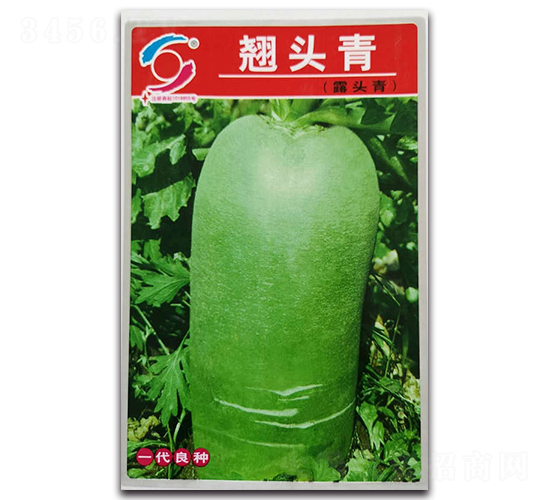 �N�^��-ˮ���}���N��-�����o