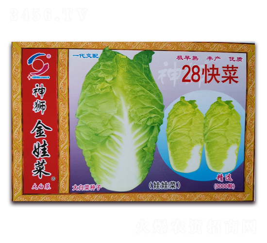 28���-�ײ˷N��-�����o(j��)