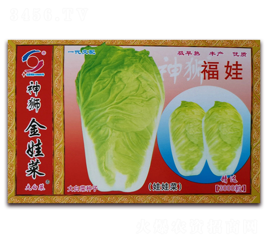 ����-���޲˷N��-�����o(j��)