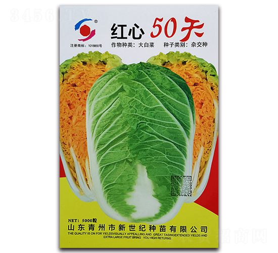 �t��50��-��ײ˷N��-�����o(j��)