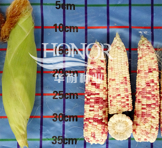 ����Ŵ8̖-���׷N��-�A�ͷN�I(y��)