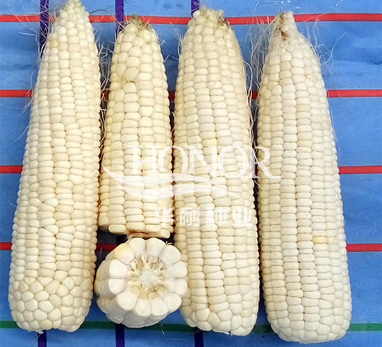 ��Ŵ182̖(h��o)-���׷N��-�A�ͷN�I(y��)