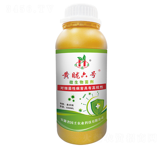 微生物菌劑-黃眬六號(hào)-國(guó)壬生物