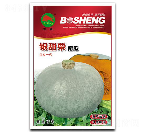 銀甜栗-南瓜種子-搏盛種業(yè)