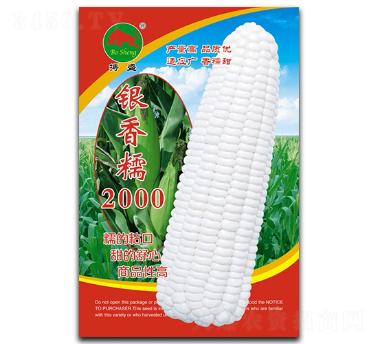 �y��Ŵ2000-���׷N��-��ʢ�N�I(y��)