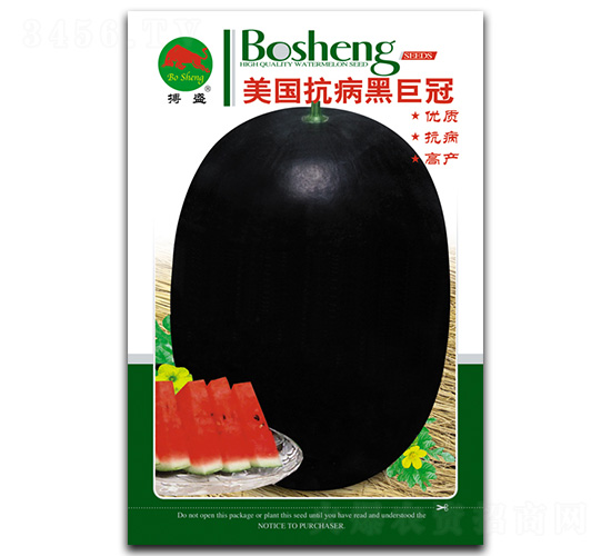 ���������ھ޹�-���ϷN��-��ʢ�N�I(y��)