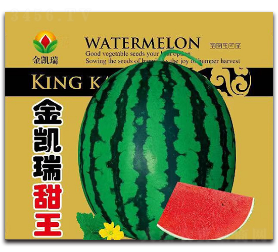 ���P������-���ϷN��-���P��