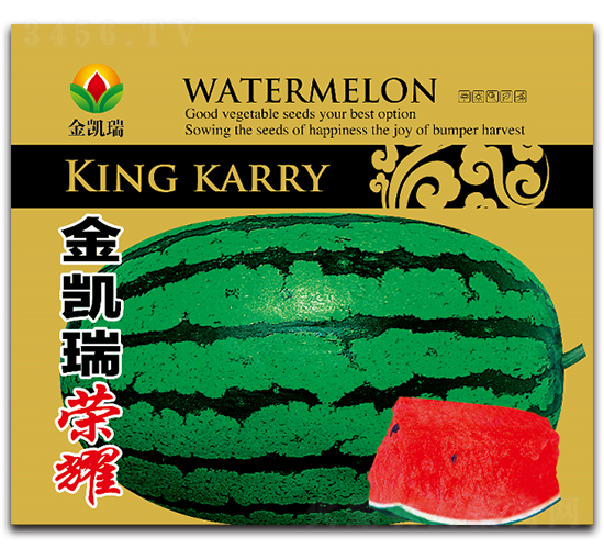 ���P��sҫ-���ϷN��-���P��