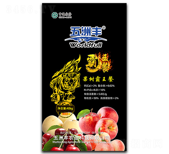 ��Ԫ����I(y��ng)�B(y��ng)��-���������-�����S