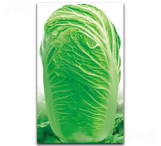 ���ݾ�̖(h��o)-�ײ˷N��-�����o(j��)