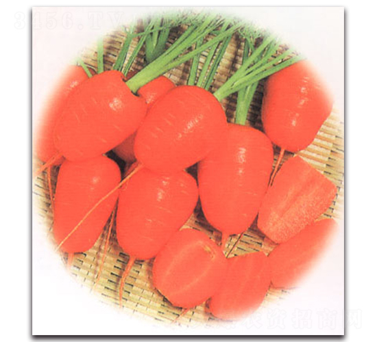 �����˅�-���}���N��-�r(n��ng)����