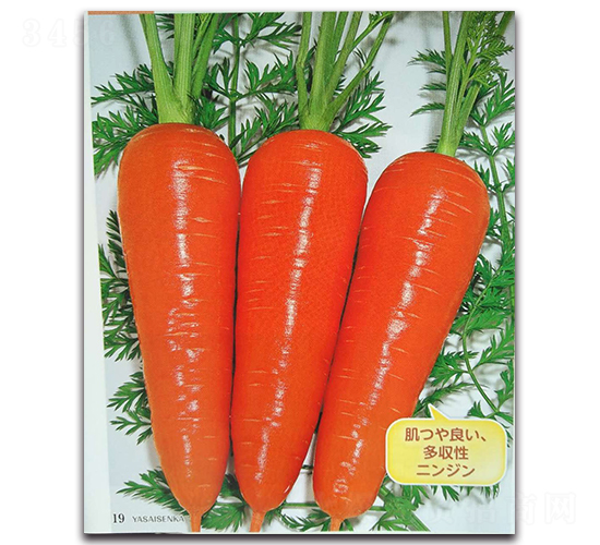 ����-���}���N��-�r(n��ng)����