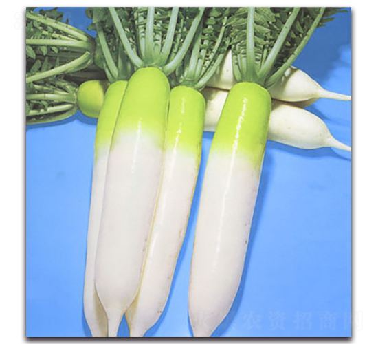 ���S�M-�}���N��-�r(n��ng)����