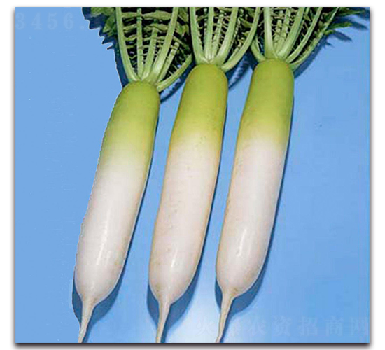 ����-�}���N��-�r(n��ng)����