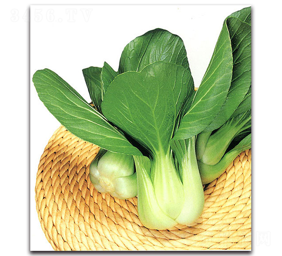 ����-�๣�˷N��-�r����