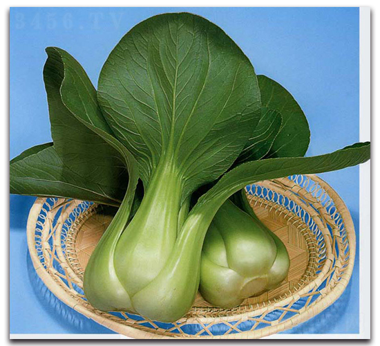 ����-�๣�˷N��-�r(n��ng)����