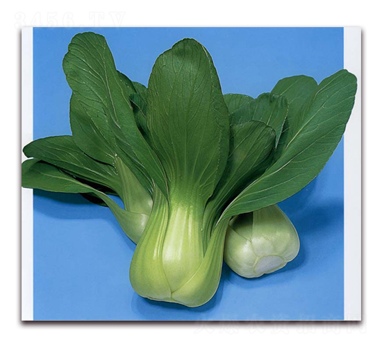 �ĵ�-�๣�˷N��-�r(n��ng)����