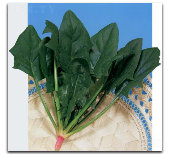 ���S-���˷N��-�r����