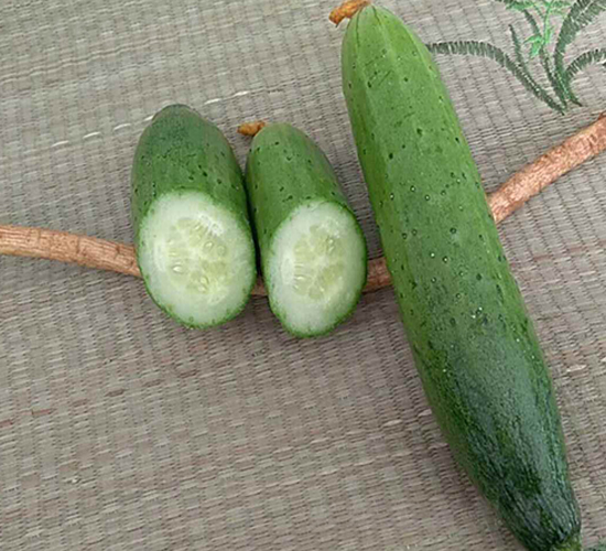 �Q��-�S�ϷN��-���N