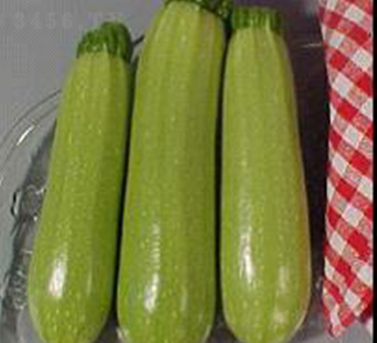 ������������-�����J�N��-���N