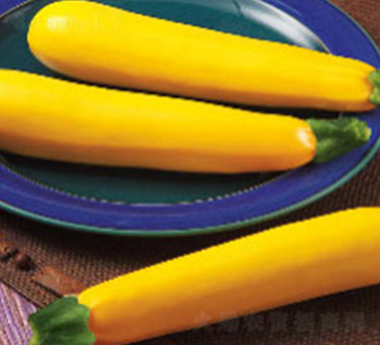 ��ɫ�����J��-�����J�N��-���N