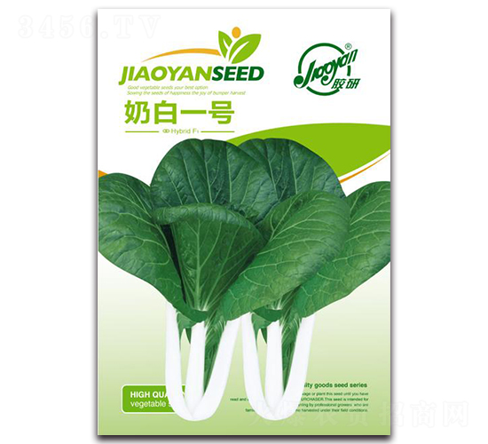 奶白一號-油菜種子-膠研