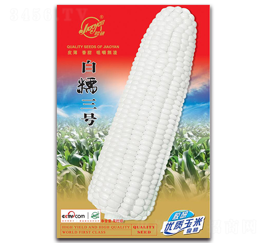 �z�а�Ŵ2̖-Ŵ���׷N��-�z��