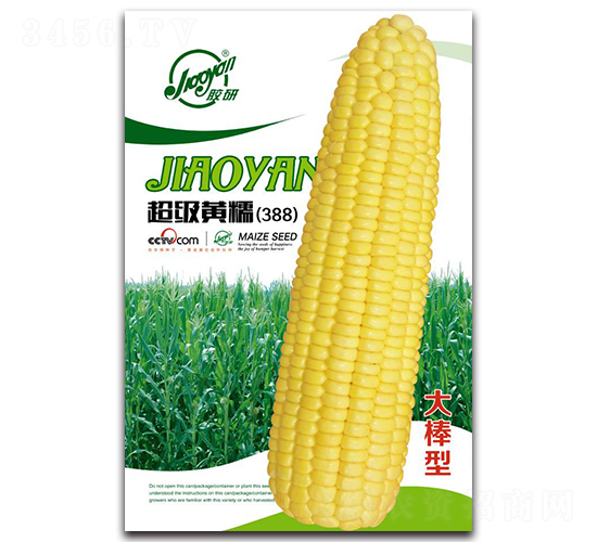 ����(j��)�SŴ��388��-Ŵ���׷N��-�z��