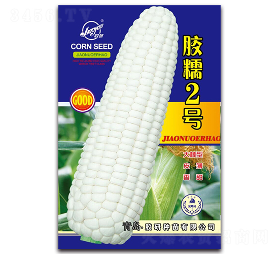 �zŴ2̖-Ŵ���׷N��-�z��