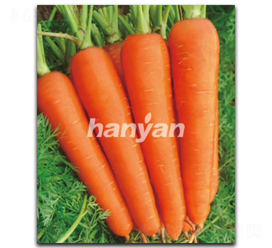 �h�u(y��)��̖(h��o)-���}���N��-�h��