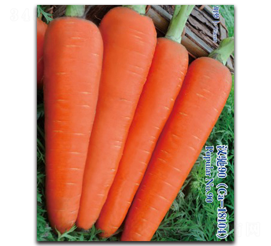 �h�Y90-���}���N��-�h��