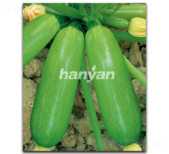 �h�@��ʥ-�����J�N��-�h��