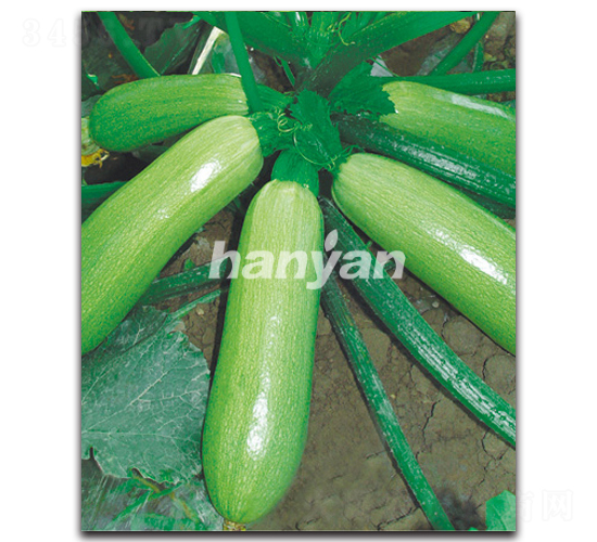 �h�@���G-�����J�N��-�h��